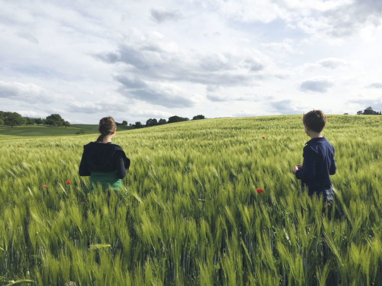 Lebenswertes Freigericht – Zukunft gestalten!