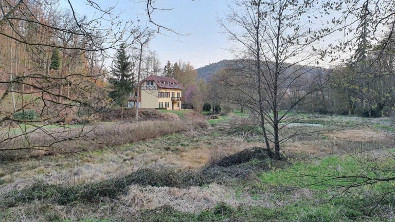 Nutzungskonzept Hüttelngesäß: GRÜNE Freigericht fordern Aufklärung