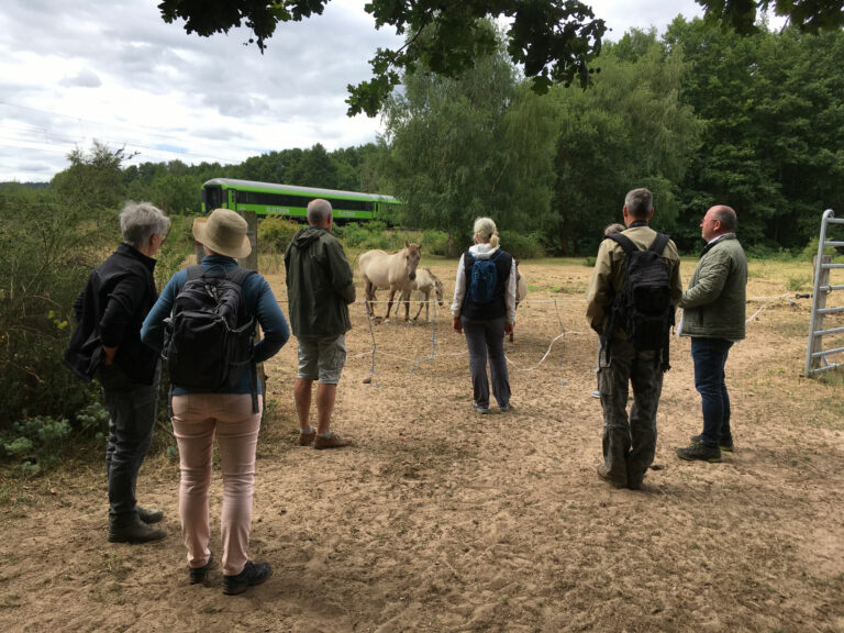 GRÜNE aus Freigericht und dem Main-Kinzig-Kreis besuchen „Hässeler Weiher“