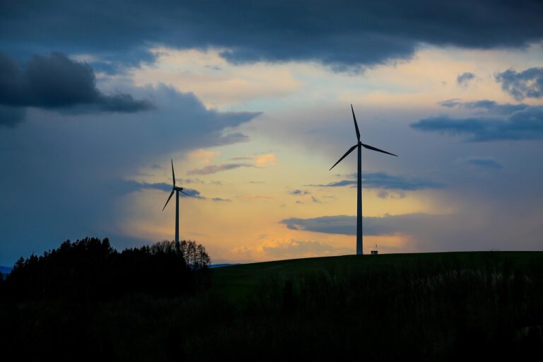 Grüne Freigericht bekräftigen volle Unterstützung für den Windpark Sülzert